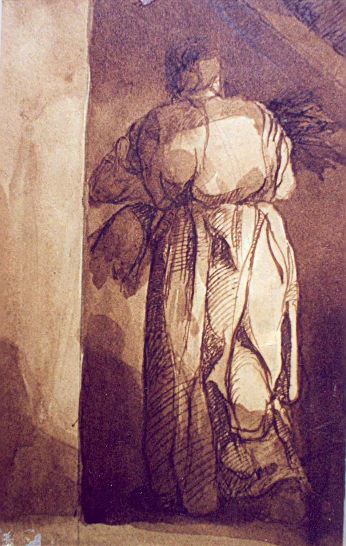 Back View of a Woman