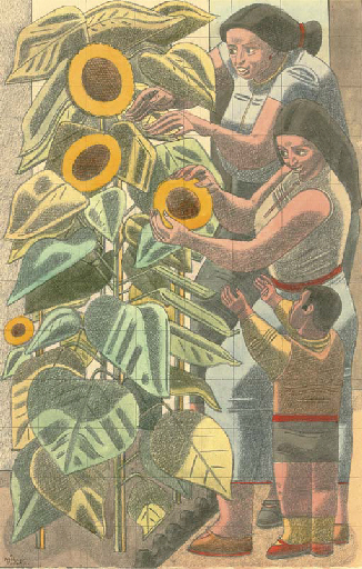 The Sunflowers - study